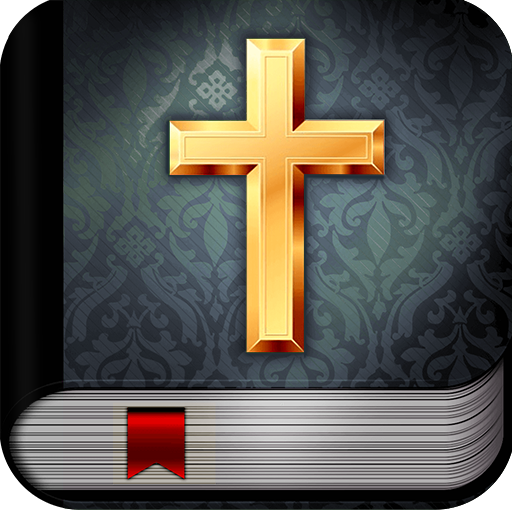 Get Bible for Android Aso Report