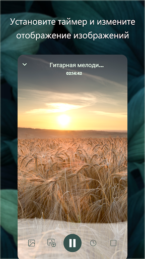 Предварительный просмотр приложения