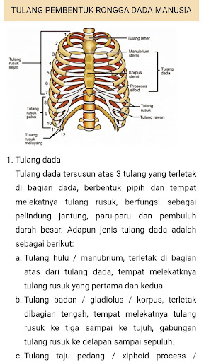 Bimbel PPG PGSD Daljab Screen 3