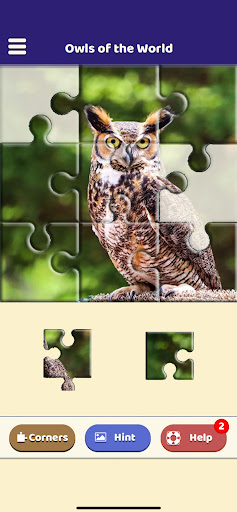 Android application Owls of the World Puzzle screenshort