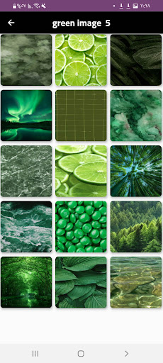 green wallpaper _ green photo Screen 2