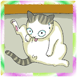 貓咪按摩館 icon