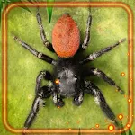Cover Image of Download Spiders Live Wallpaper  APK
