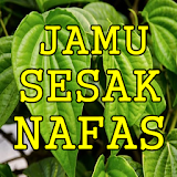 Ramuan Sesak Nafas Paling Manjur Dan Alami icon