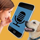 Télécharger Dog Translator: Bark to Human Installaller Dernier APK téléchargeur