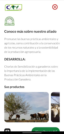 Peña Verde Screen 2