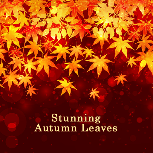 Stunning Autumn Leaves Theme logo