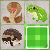 Snakes and frogs slide puzzle icon