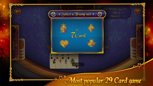 29 Card Game 3 screenshots 4