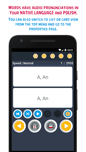 Learn Polish Vocabulary Words Screen 3
