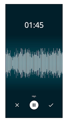 Wear Voice Recorder Screen 2