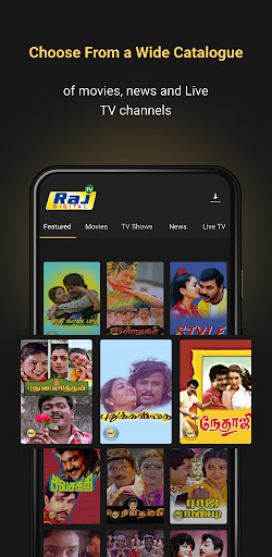 Raj Digital TV Screen 2