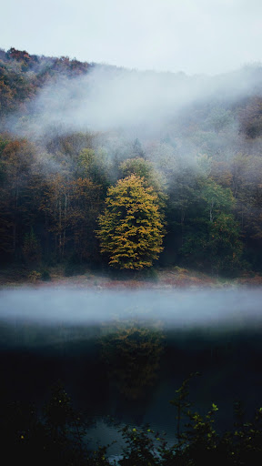 Android application Foggy Wallpapers screenshort