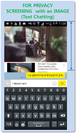 Privacy Screen Filter + Screen 2