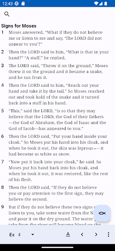 NIV Bible Screen 3