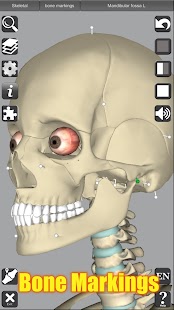 Capturas de tela de anatomia 3D