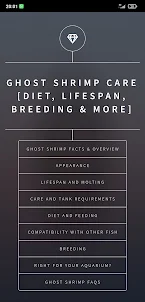 Ghost Shrimp Care Guide