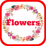 Cover Image of Download Beautiful Flowers Arrangements  APK