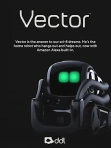 The anki vector 2025