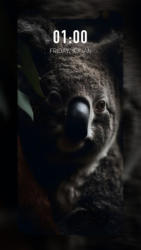 Koala Wallpaper 4k