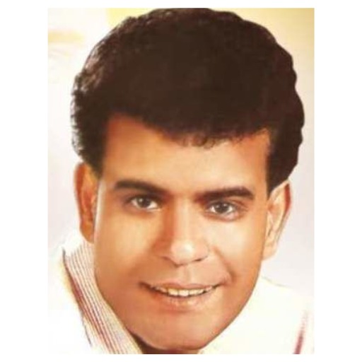 علاء سلام logo