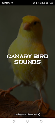 Android application canary bird sounds screenshort
