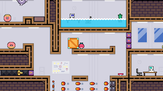 Game screenshot Dadish Collection mod apk