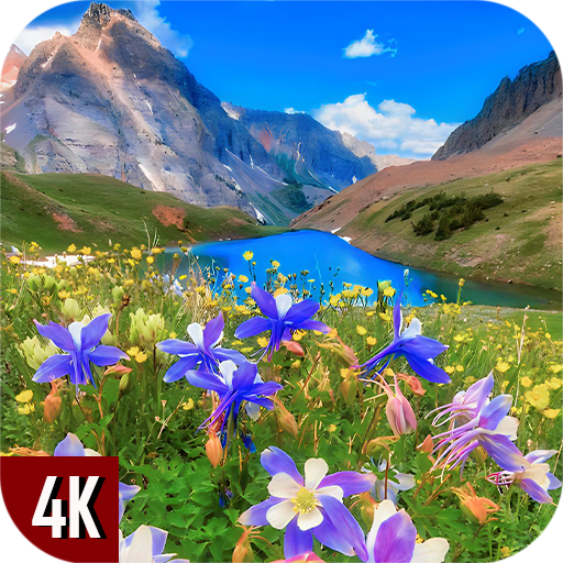 My Image 24
