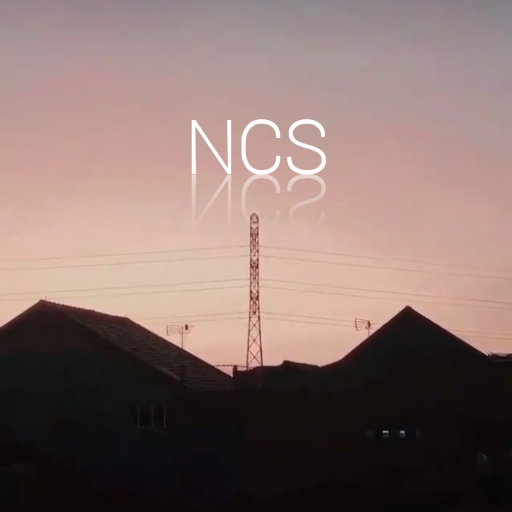 NCS offline 01 - AppWisp.com