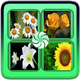 Flower Wallpapers HD icon