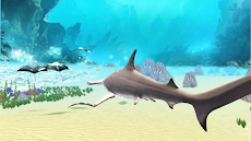 The Hammerhead Sharkのおすすめ画像5