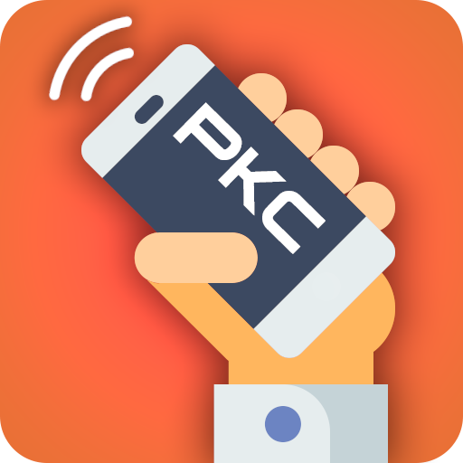 Pixel Karting Control (PKC™) logo