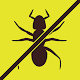 No più formiche (gratuito) - squash Scarica su Windows