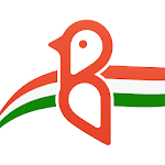 Cover Image of Download Bulbul - Online Video Shopping App | Made In India 1.802 APK