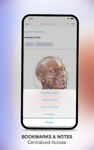 Screenshot of Rapid Review Anatomy Guide