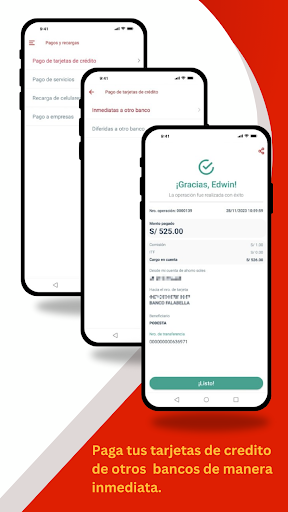 Banco de la Nación Screen 3