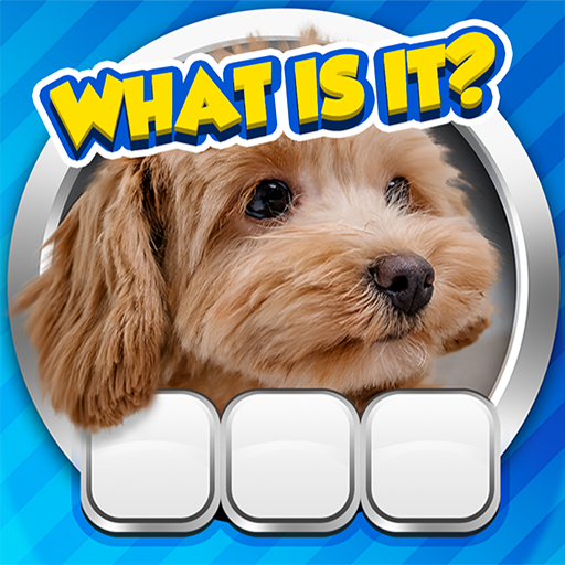 Guess it! Zoom Pic Trivia Game  Icon