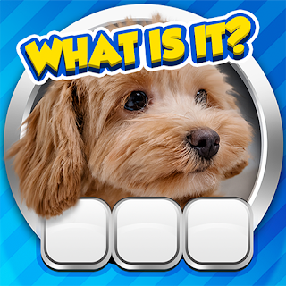 Guess it Zoom Pic Trivia Game apk