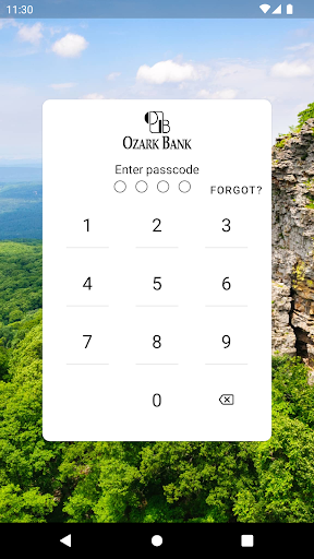 Android application Ozark Bank screenshort
