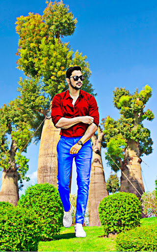 Tree photo editor and frames