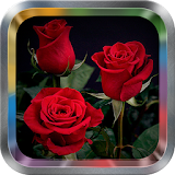 Rose Flower Live Wallpaper Pro icon