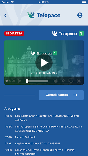 Telepace Screen 2