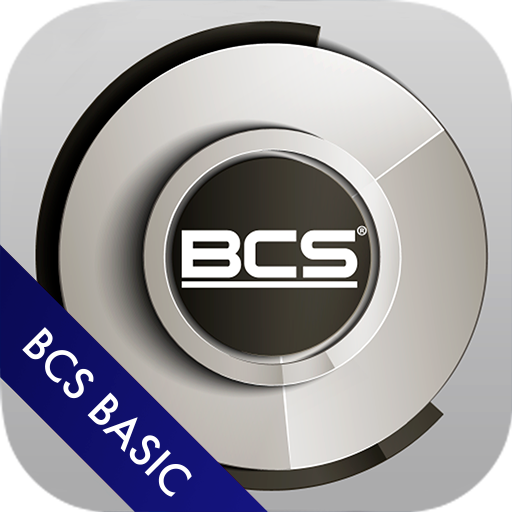 BCS Basic logo