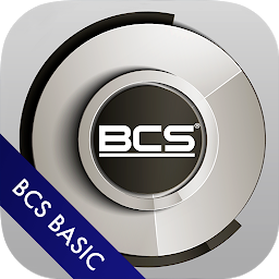 图标图片“BCS Basic”
