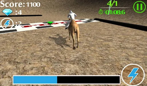 camel Race