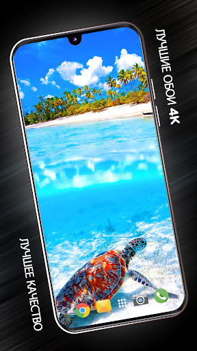 Предварительный просмотр приложения