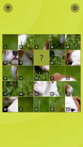 Slide Puzzle One