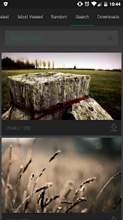 Wallhaven – Free Wallpapers Screenshot