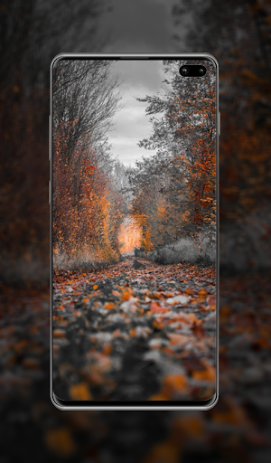 Hd Wallpaper & Background Screen 3