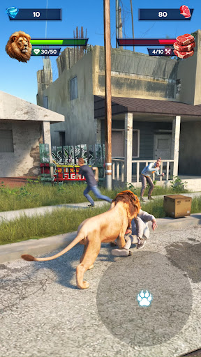 Lion Survival - Wild Beast Sim 2